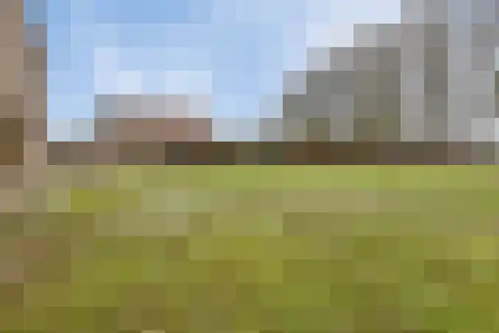 Berktsedijk 11 Liessel thumbnail 51