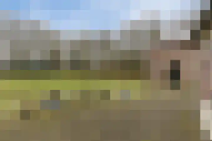 Berktsedijk 11 Liessel thumbnail 52