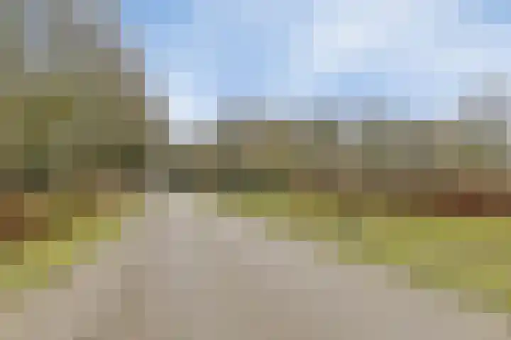 Berktsedijk 11 Liessel thumbnail 56