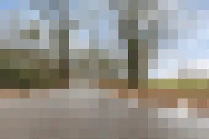 Berktsedijk 11 Liessel thumbnail 57
