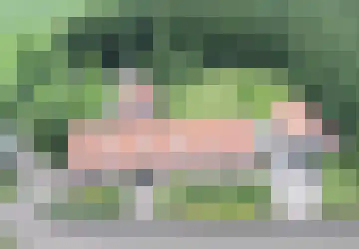 Berktsedijk 11 Liessel thumbnail 6