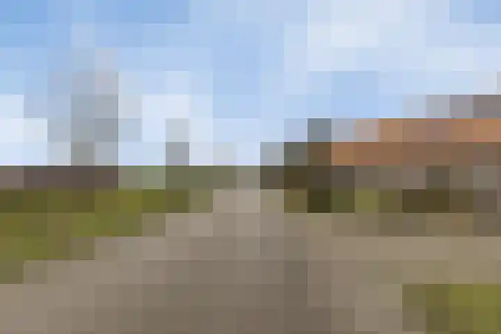 Berktsedijk 11 Liessel thumbnail 7