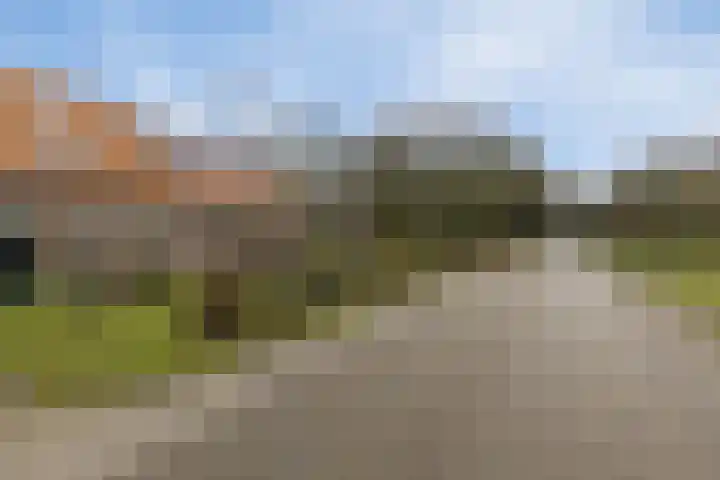 Berktsedijk 11 Liessel thumbnail 8