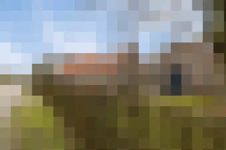Berktsedijk 11 Liessel thumbnail 9