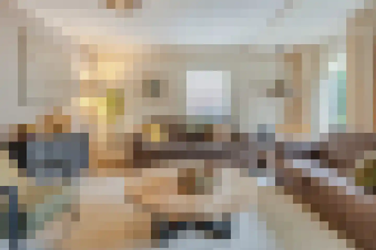 Berkumshof 6 Doesburg thumbnail 12