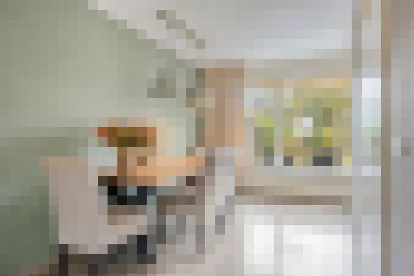 Berkumshof 6 Doesburg thumbnail 16