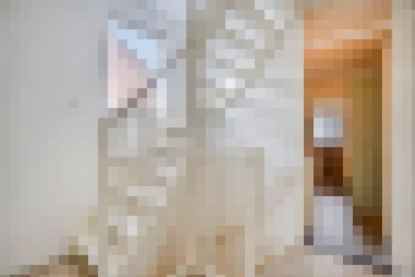 Berkumshof 6 Doesburg thumbnail 19