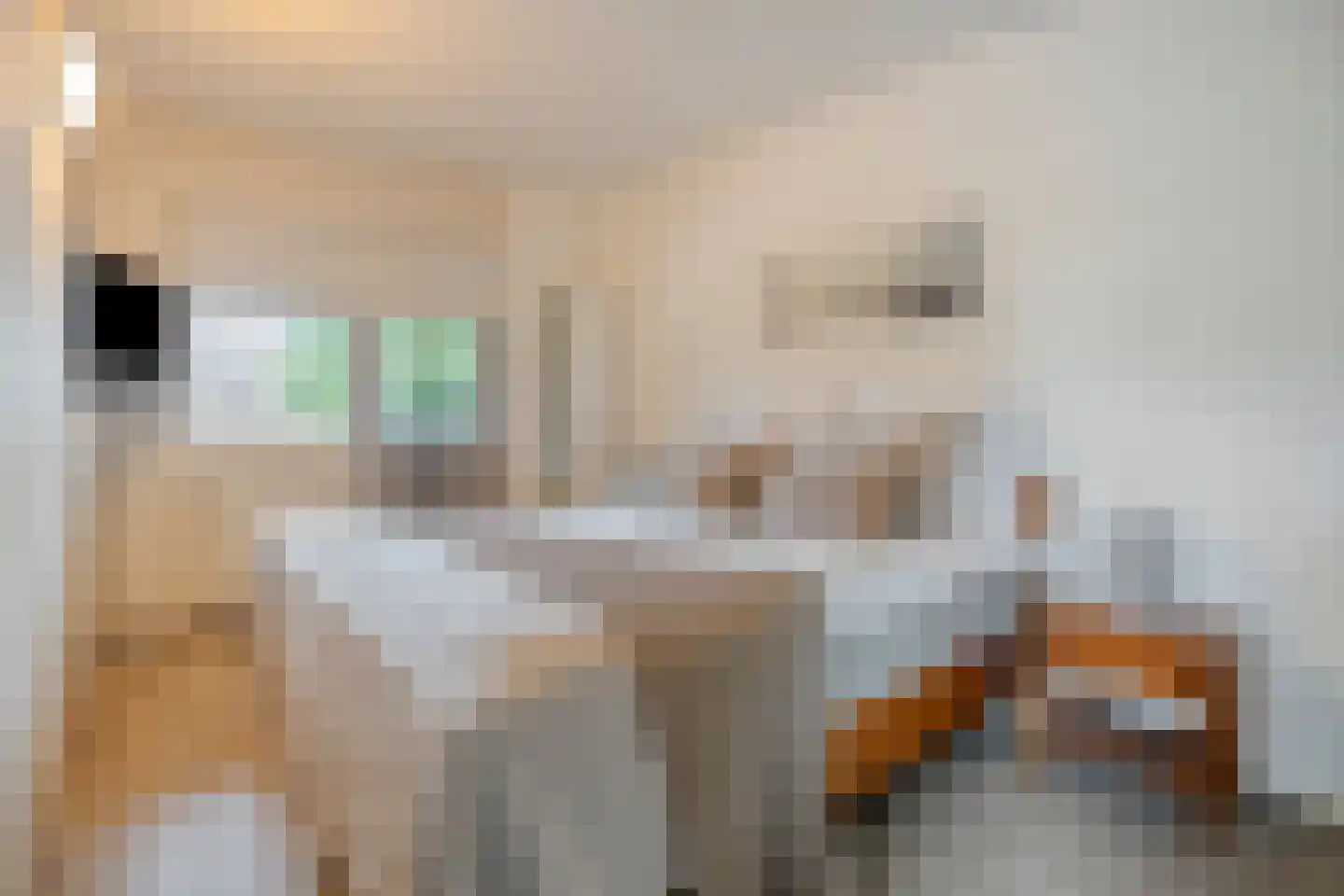 Berkumshof 6 Doesburg thumbnail 20