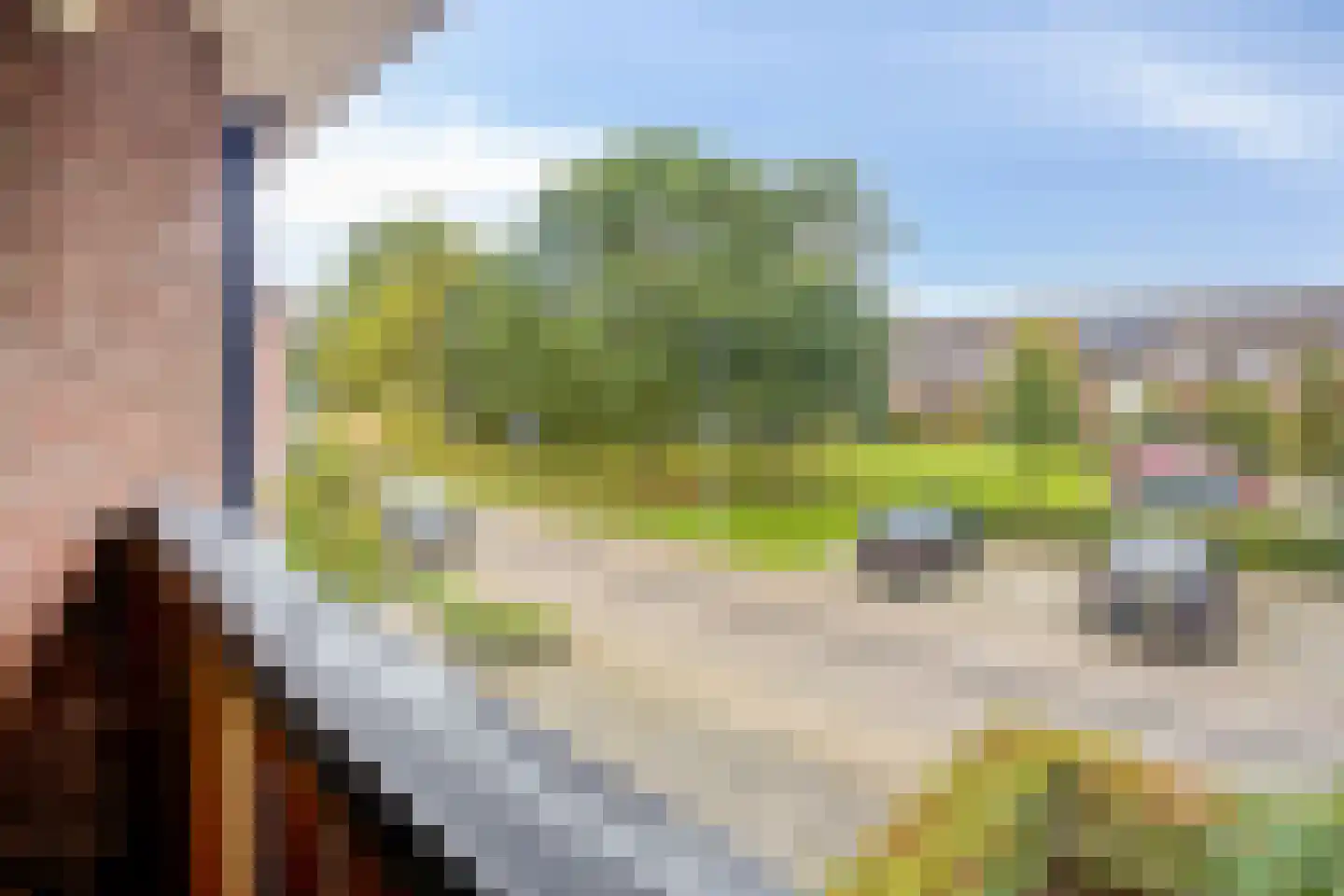 Berkumshof 6 Doesburg thumbnail 26