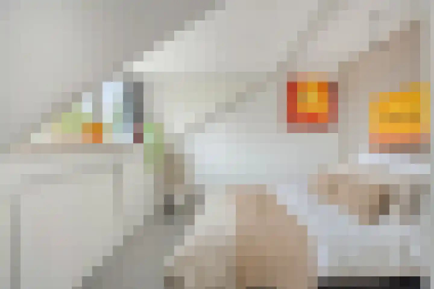 Berkumshof 6 Doesburg thumbnail 34