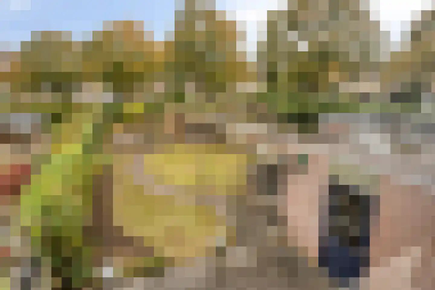 Berkumshof 6 Doesburg thumbnail 35
