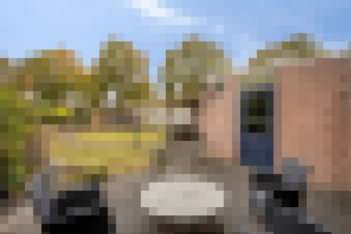 Berkumshof 6 Doesburg thumbnail 36