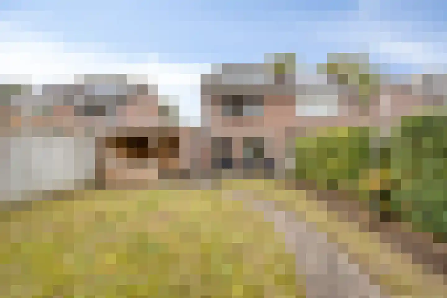 Berkumshof 6 Doesburg thumbnail 37