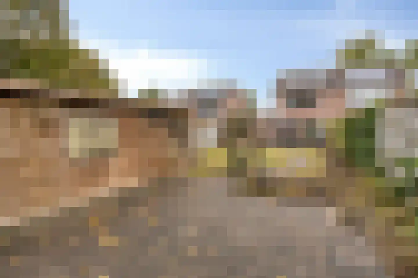 Berkumshof 6 Doesburg thumbnail 38