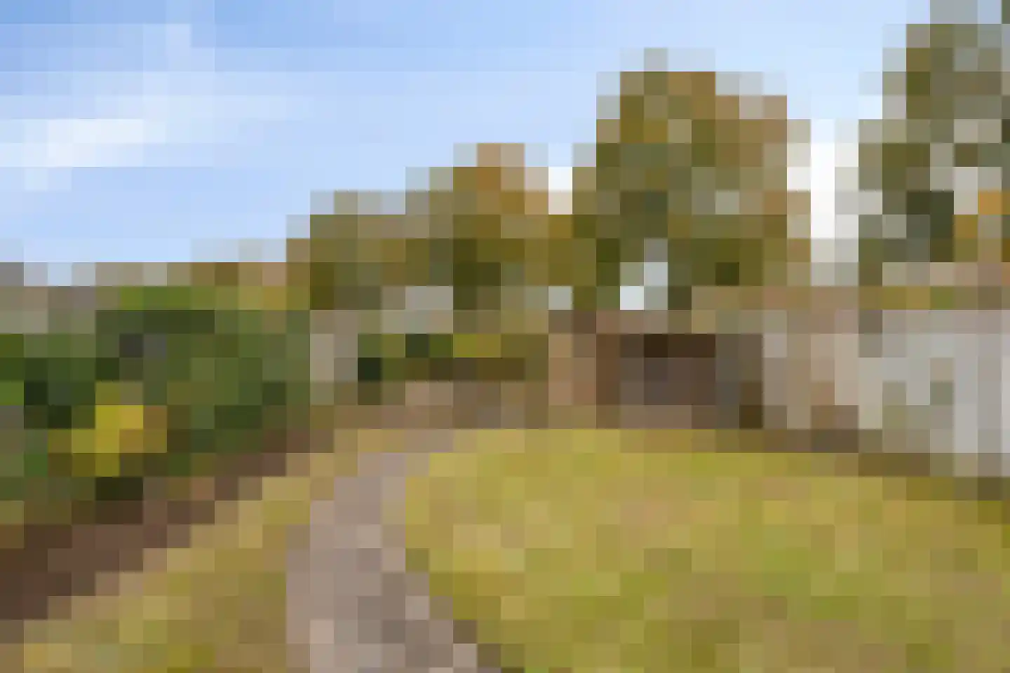 Berkumshof 6 Doesburg thumbnail 39