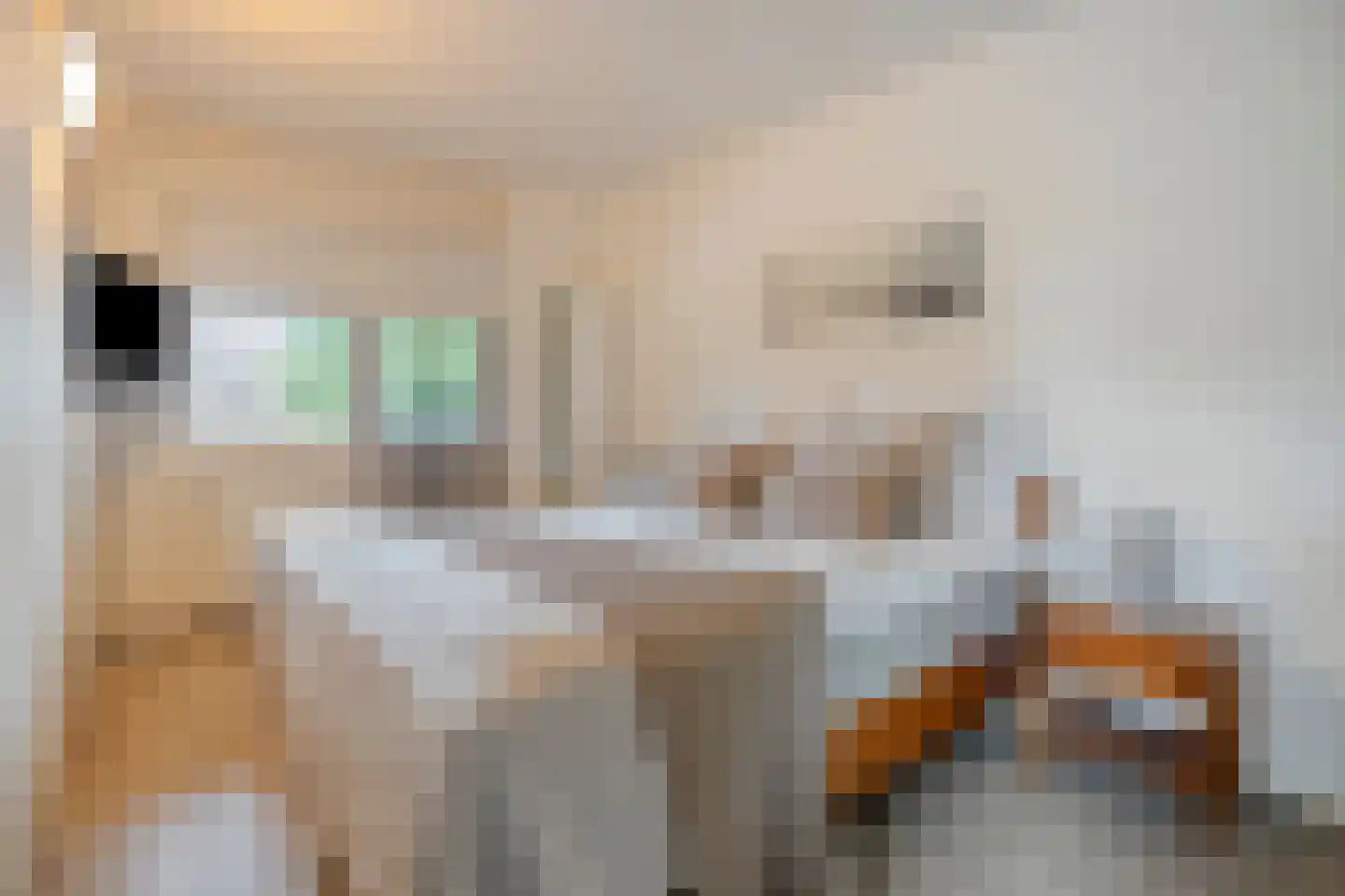 Berkumshof 6 Doesburg thumbnail 5