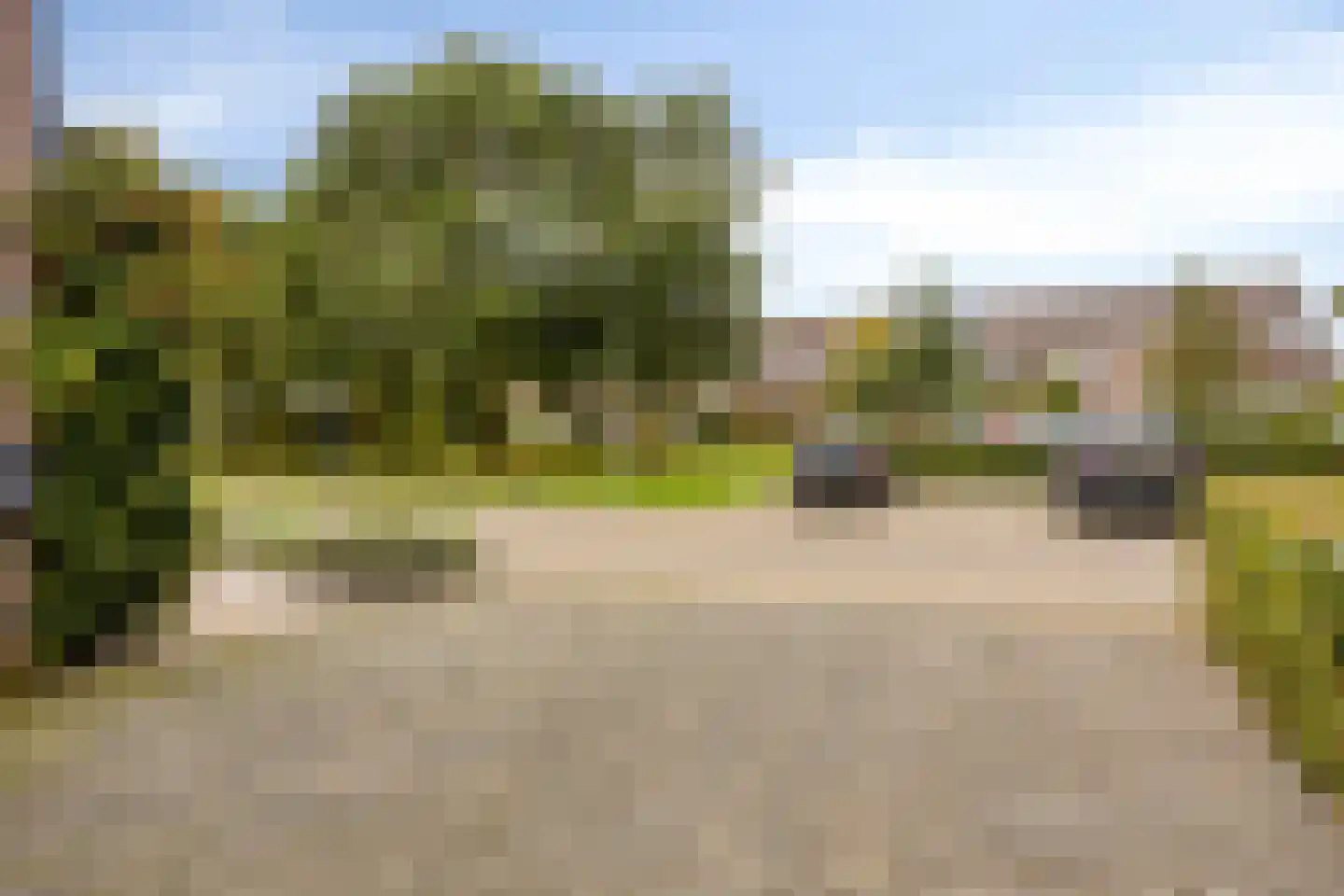 Berkumshof 6 Doesburg thumbnail 8
