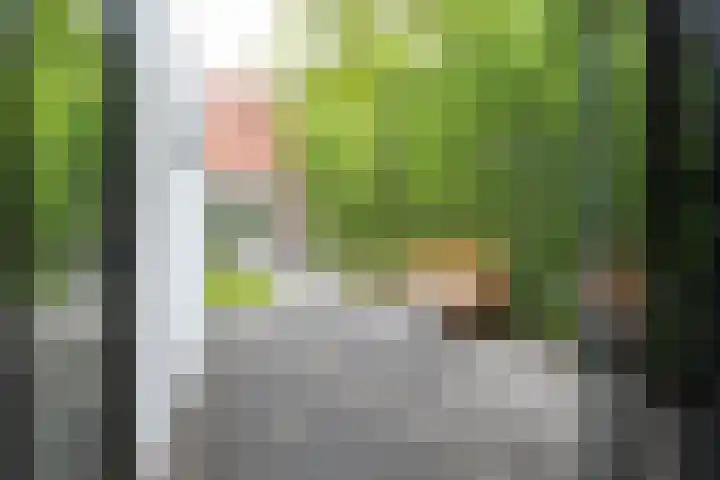 Berkumstraat 33 Zwolle thumbnail 36
