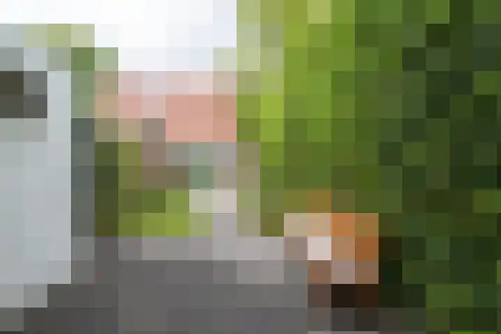 Berkumstraat 33 Zwolle thumbnail 37