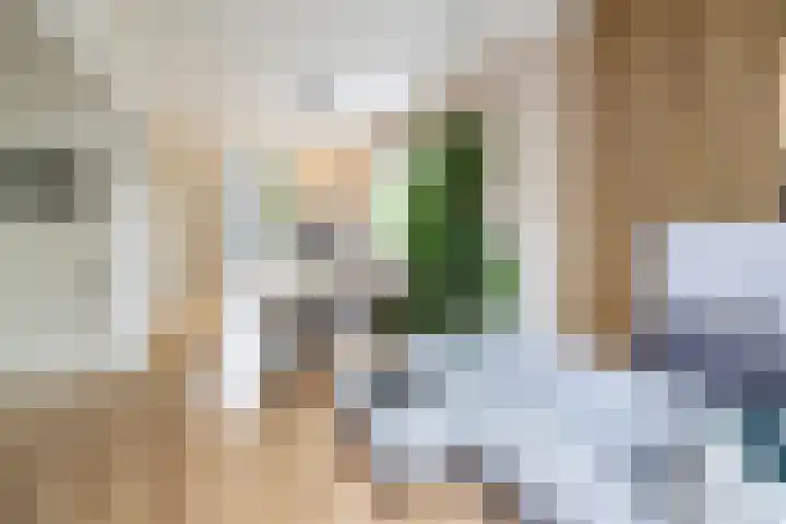Berkumstraat 33 Zwolle thumbnail 4