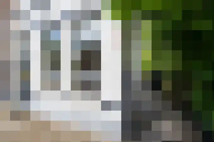 Berkumstraat 33 Zwolle thumbnail 42
