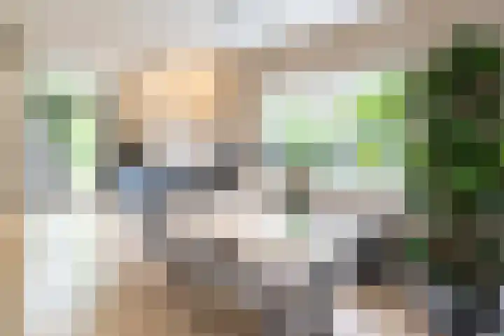 Berkumstraat 33 Zwolle thumbnail 6
