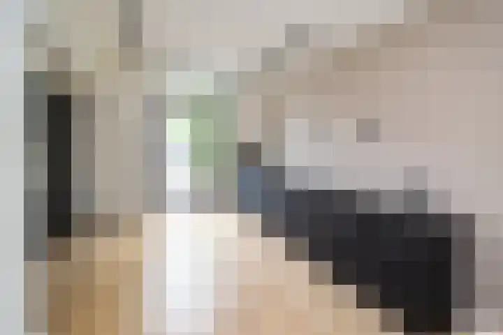 Berkumstraat 33 Zwolle thumbnail 7