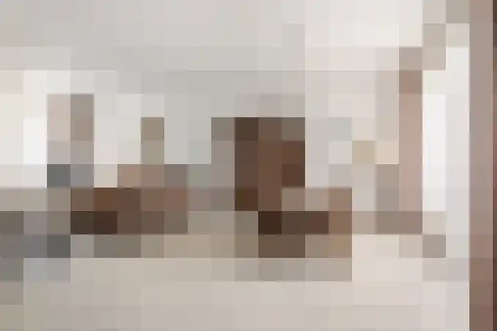 Berkven 29 Eindhoven thumbnail 11