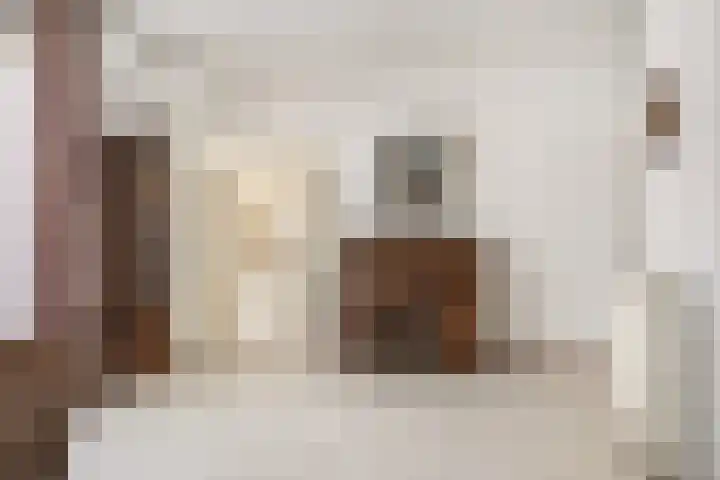 Berkven 29 Eindhoven thumbnail 15