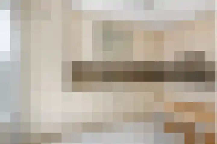 Berkven 29 Eindhoven thumbnail 16