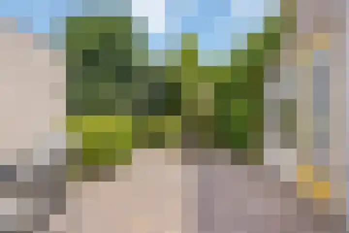Berkven 29 Eindhoven thumbnail 29