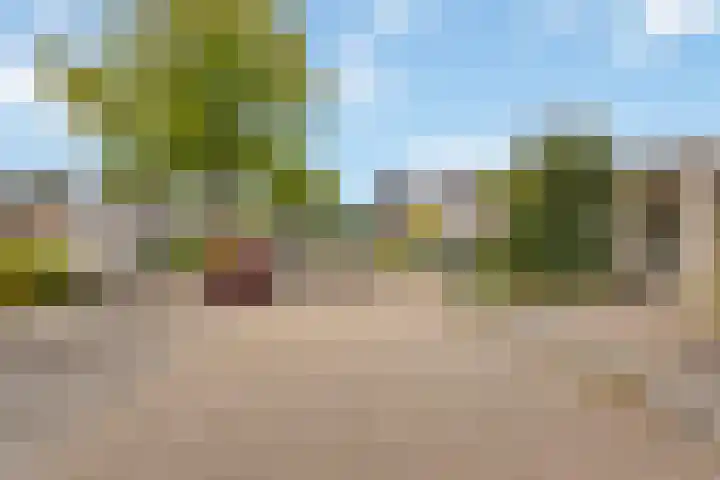Berkven 29 Eindhoven thumbnail 32