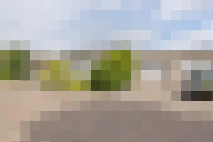 Berkven 29 Eindhoven thumbnail 7