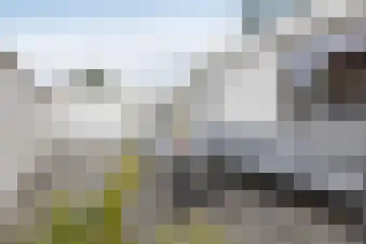 Berkweg 1 Hengelo thumbnail 25