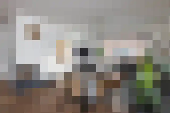 Berkweg 1 Hengelo thumbnail 4