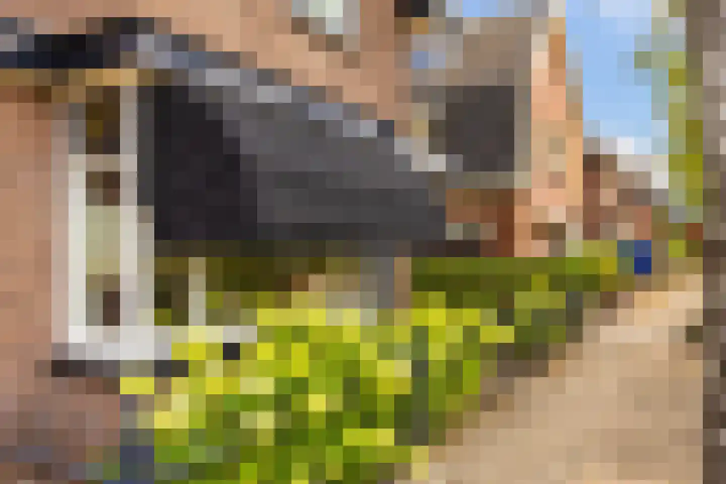 Berkweg 17 Hengelo thumbnail 5
