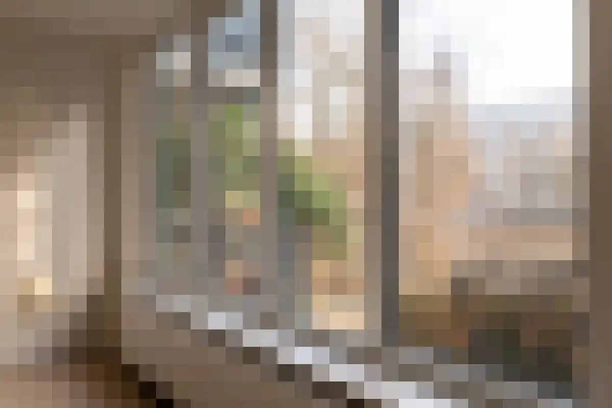 Berlaarstraat 107 Amsterdam thumbnail 5