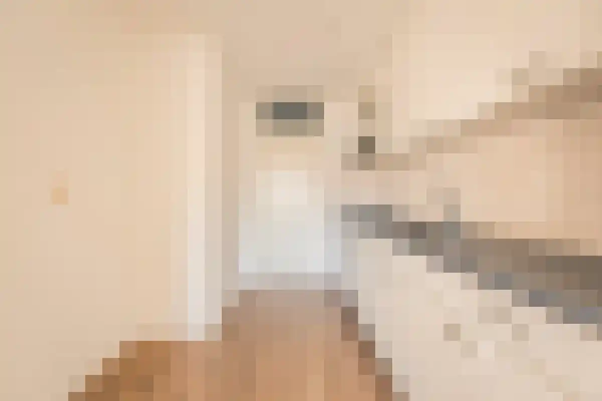 Berlaarstraat 117 Amsterdam thumbnail 4