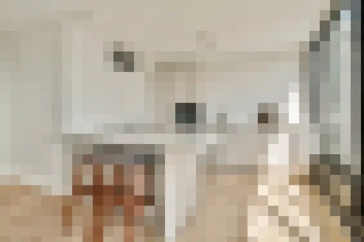 Berlaarstraat 197 Amsterdam thumbnail 4