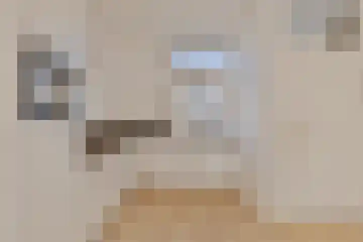 Berlaarstraat 361 Amsterdam thumbnail 4