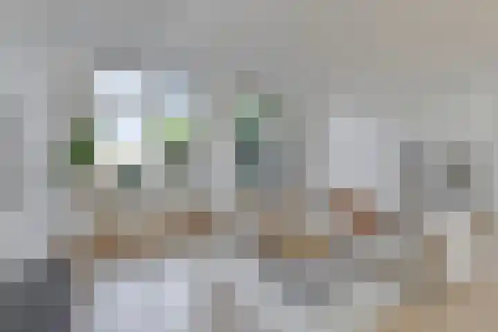 Berlaarstraat 40 Amsterdam thumbnail 7