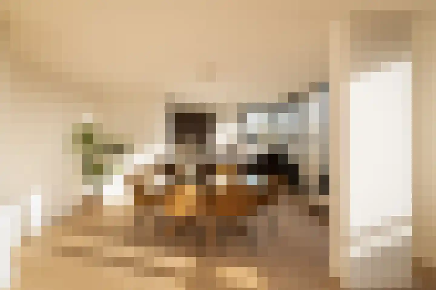 Berlaarstraat 97 Amsterdam thumbnail 12
