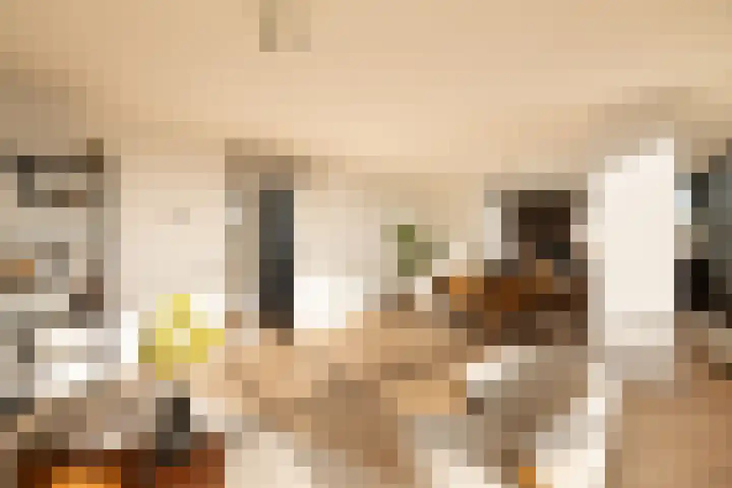 Berlaarstraat 97 Amsterdam thumbnail 8