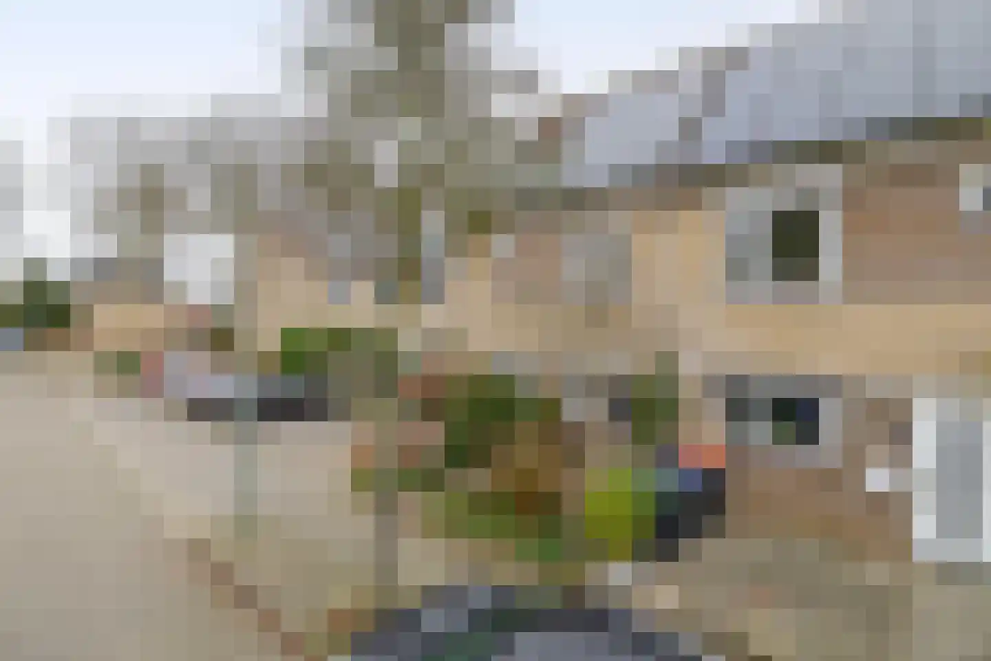 Berlage-erf 152 Dordrecht thumbnail 36