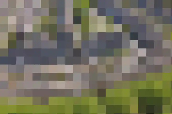 Berlage-erf 171 Dordrecht thumbnail 5