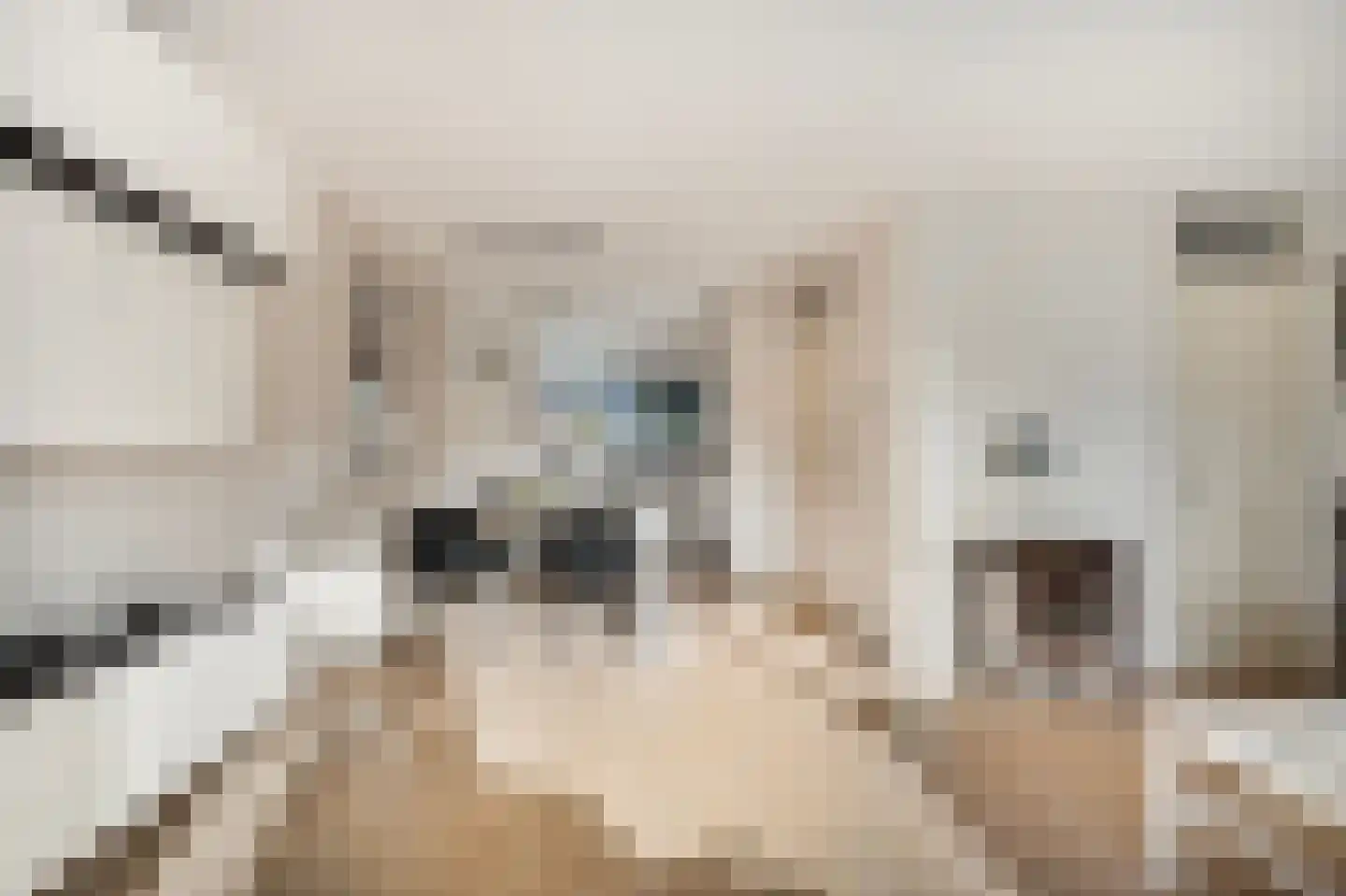 Berlagedreef 31 Barendrecht thumbnail 4