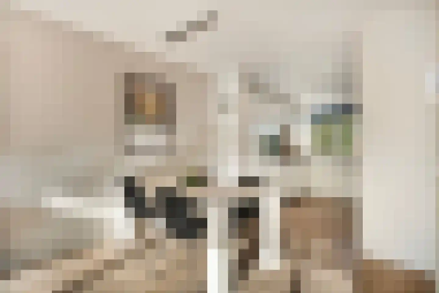 Berlagedreef 31 Barendrecht thumbnail 6
