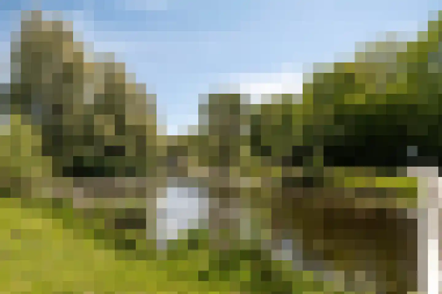 Berlagehof 28 Amsterdam thumbnail 29