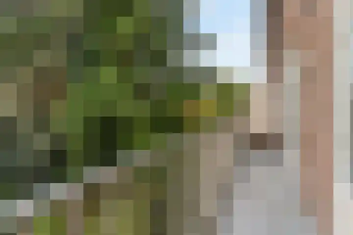 Berlagelaan 105 Hilversum thumbnail 12