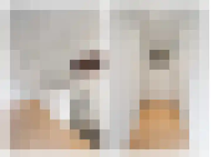 Berlagelaan 105 Hilversum thumbnail 15